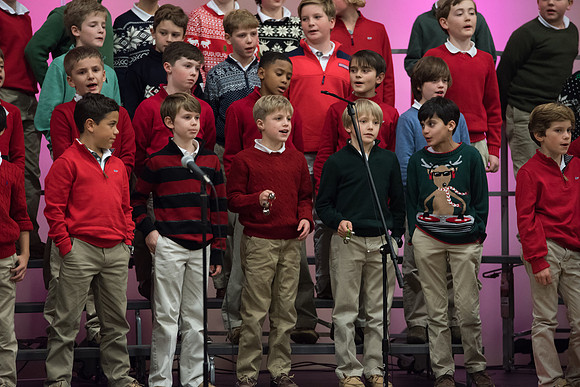 holiday_ls_hp_6549