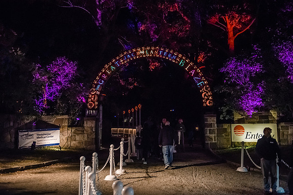 pumpkinblaze16_hp_9197