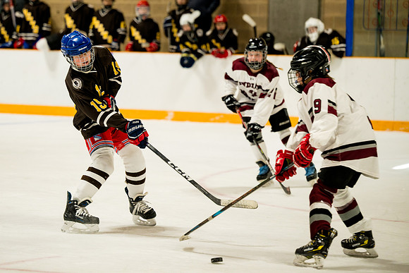 hockey_ms2_2025-01-29_ah_0032