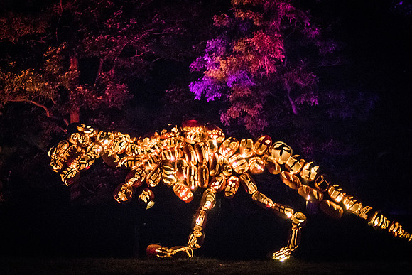 pumpkinblaze_wkl_3430