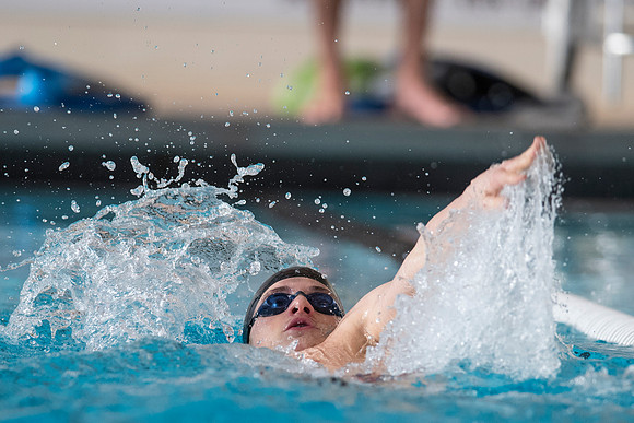 swimming_db_1778
