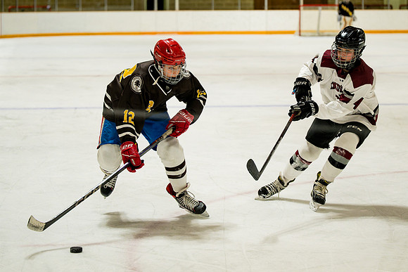 hockey_ms2_2025-01-29_ah_0043