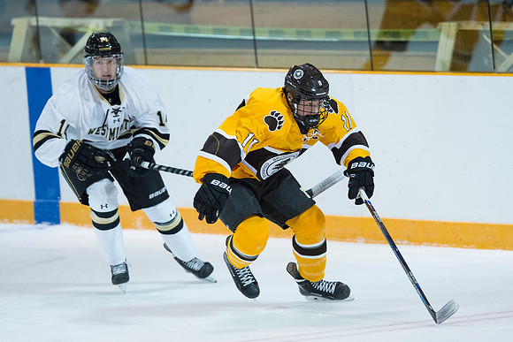 hockey_2016-12-10_dburns_2360