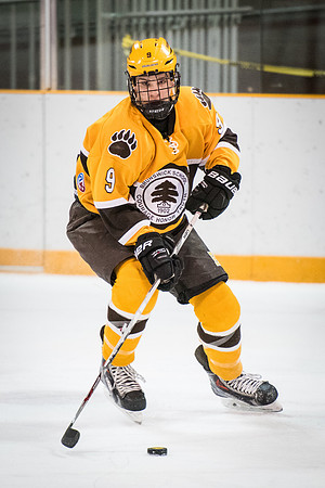 hockey_2016-02-17_wkl_8641