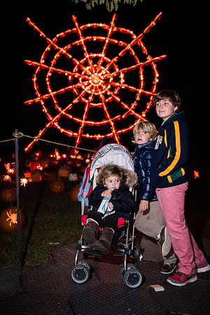 pumpkinblaze_wkl_3440