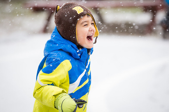 snow_ps_2017-01-31_wkl_4938