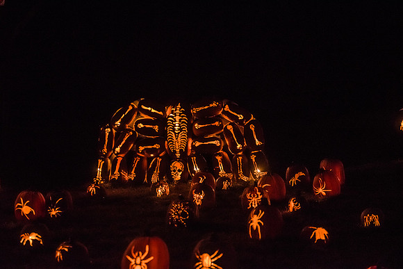 pumpkinblaze16_hp_9315
