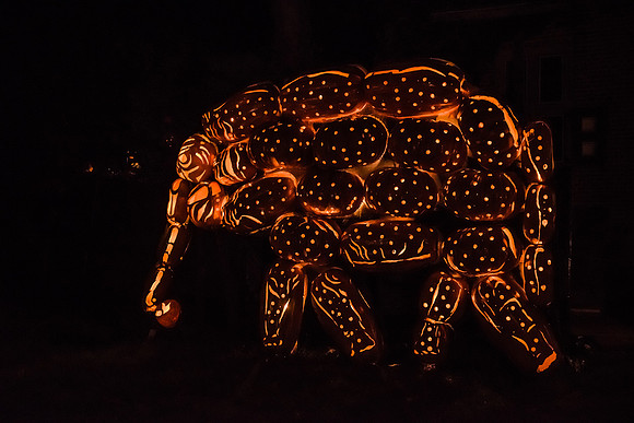 pumpkinblaze16_hp_9282