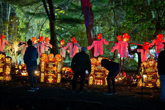 pumpkinblaze19_mkras_0018