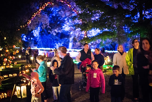 pumpkinblaze_wkl_3355