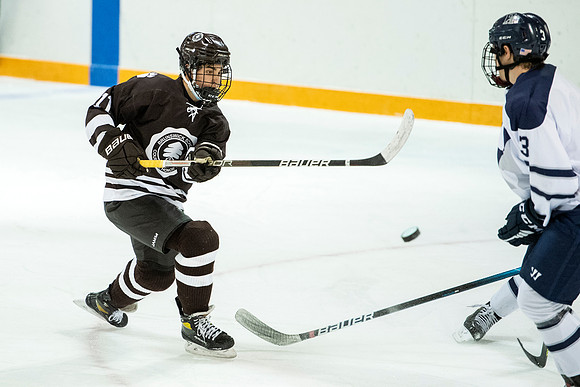 hockey_2022-01-15_dburns1_3852