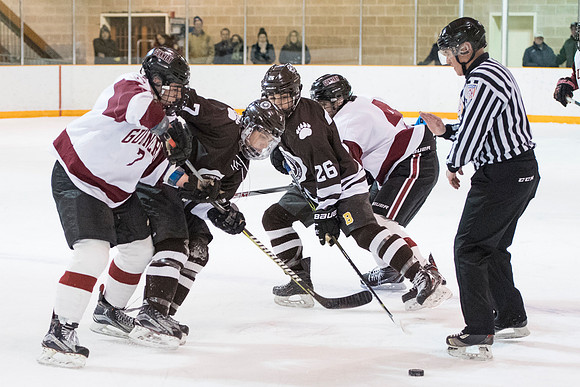 hockey_2018-02-09_db_9501