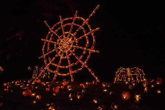 pumpkinblaze16_hp_9316
