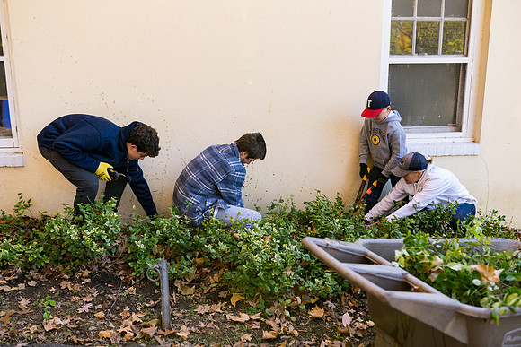 sustainabilitycouncil_pemberwick_ah_0011