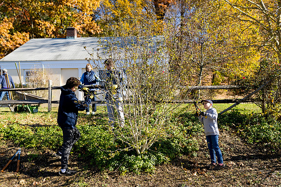 sustainabilitycouncil_pemberwick_ah_0017