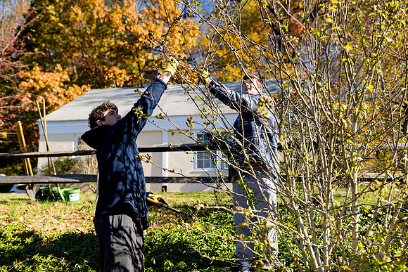 sustainabilitycouncil_pemberwick_ah_0019