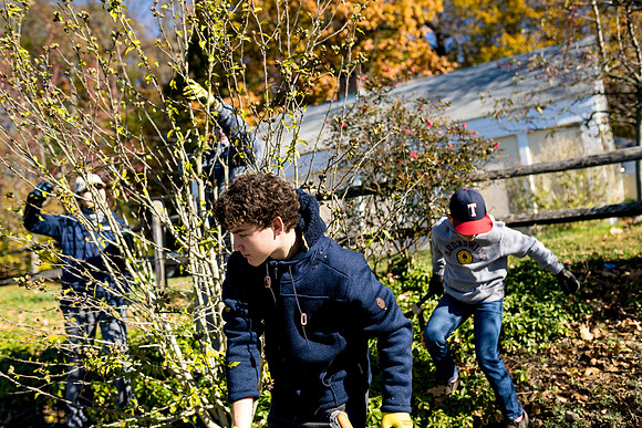sustainabilitycouncil_pemberwick_ah_0022