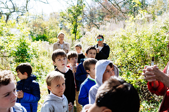audubon_gr1_jk_8303