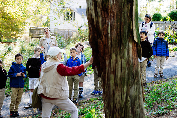 audubon_gr1_jk_8350