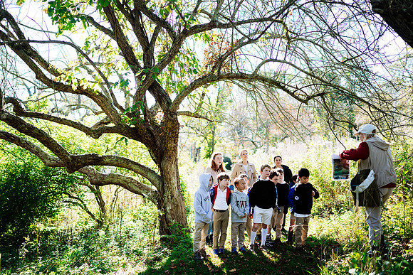 audubon_gr1_jk_8327