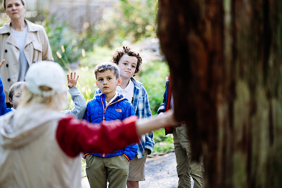 audubon_gr1_jk_8351