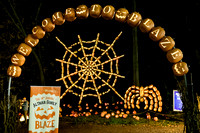 pumpkinblaze23_ah_0003