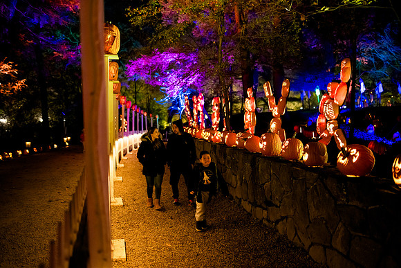 pumpkinblaze23_ah_0007