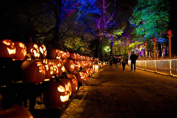 pumpkinblaze23_ah_0008