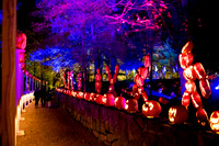 pumpkinblaze23_ah_0004