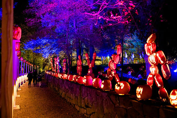 pumpkinblaze23_ah_0004