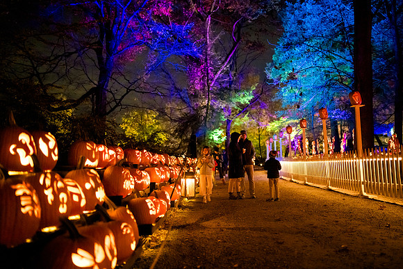 pumpkinblaze23_ah_0010