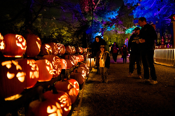 pumpkinblaze23_ah_0013
