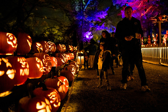 pumpkinblaze23_ah_0014