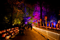 pumpkinblaze23_ah_0015
