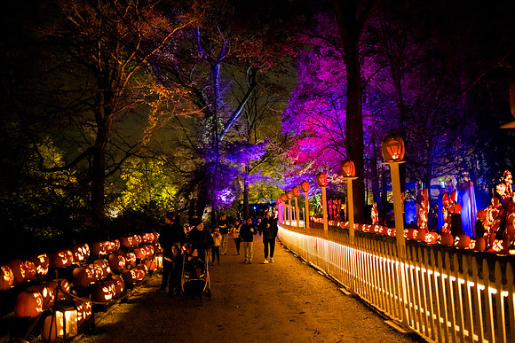 pumpkinblaze23_ah_0015