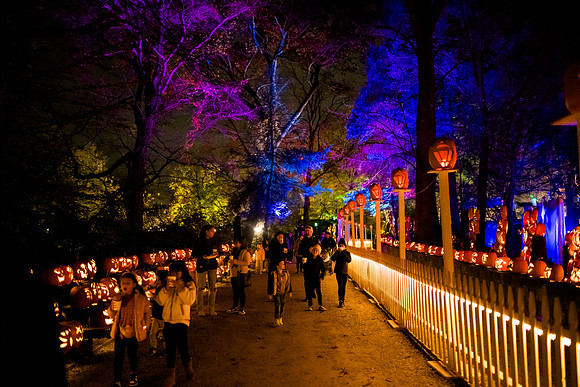 pumpkinblaze23_ah_0016
