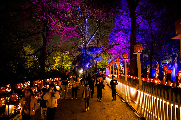 pumpkinblaze23_ah_0017