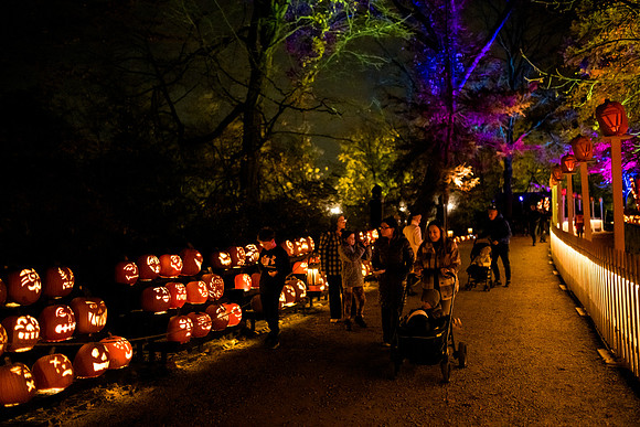 pumpkinblaze23_ah_0018