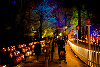 pumpkinblaze23_ah_0019