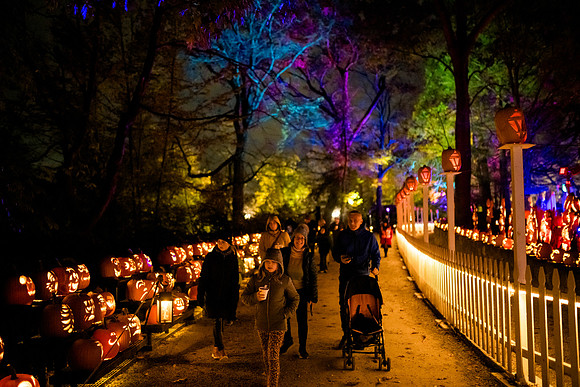 pumpkinblaze23_ah_0019