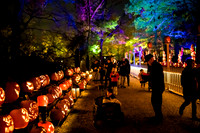 pumpkinblaze23_ah_0021