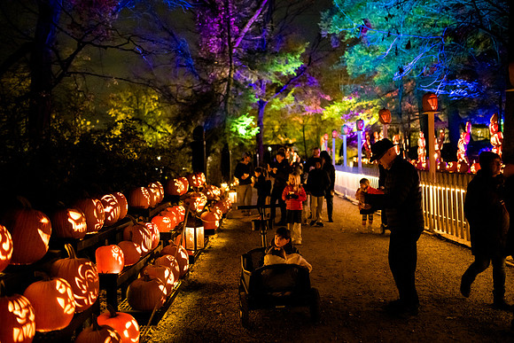 pumpkinblaze23_ah_0021