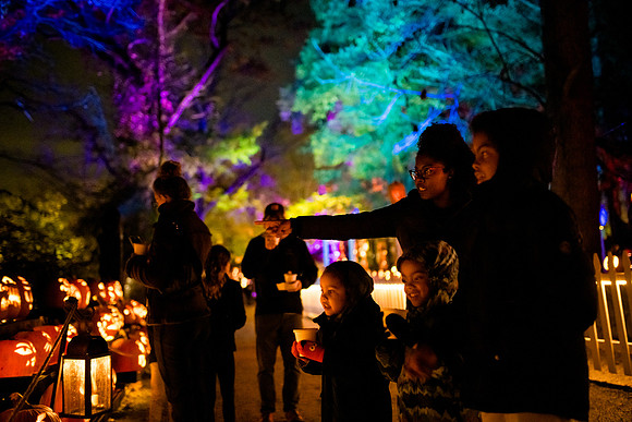 pumpkinblaze23_ah_0024