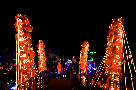 pumpkinblaze23_ah_0035