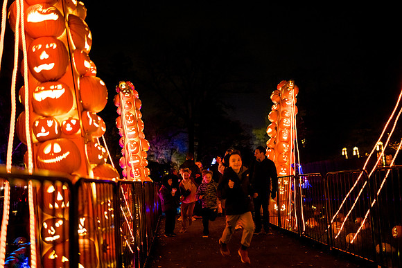 pumpkinblaze23_ah_0036