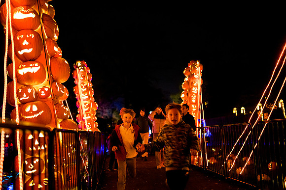 pumpkinblaze23_ah_0037