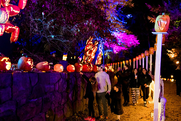pumpkinblaze23_ah_0055