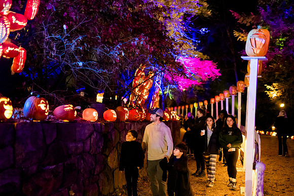 pumpkinblaze23_ah_0056