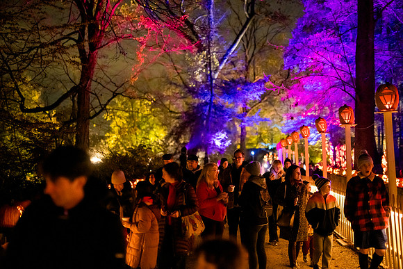 pumpkinblaze23_ah_0058