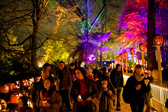 pumpkinblaze23_ah_0059